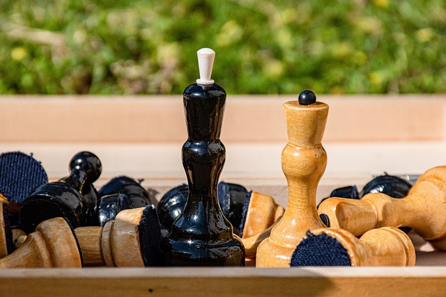 足球比赛 足球比赛