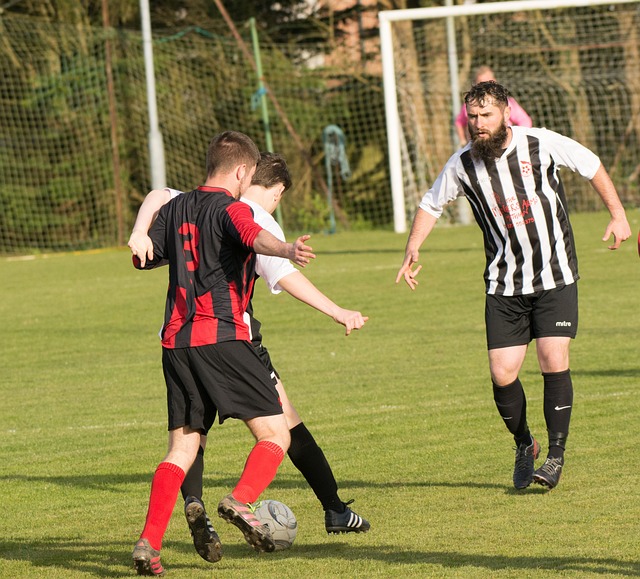 在布莱顿对 在布莱顿对