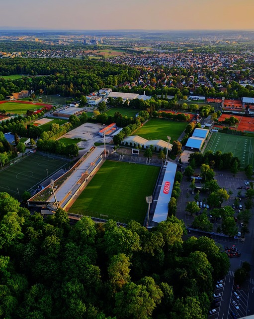 然有优势 然有优势