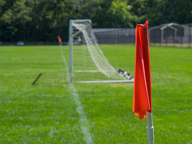 动员们在镁 动员们在镁