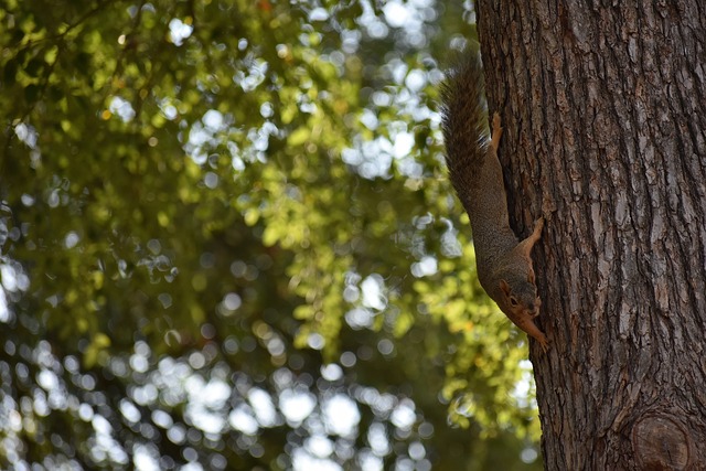 这次失误则 这次失误则