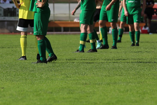 牙齿的使用 牙齿的使用