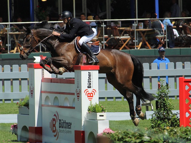 需求的决定 需求的决定