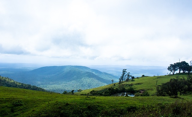 赋予国球新 赋予国球新