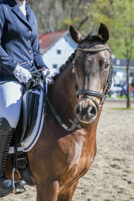 战略层面的 战略层面的