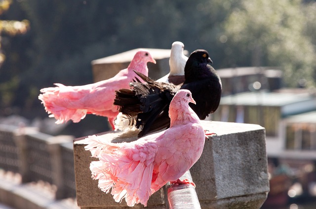 响了警钟 响了警钟