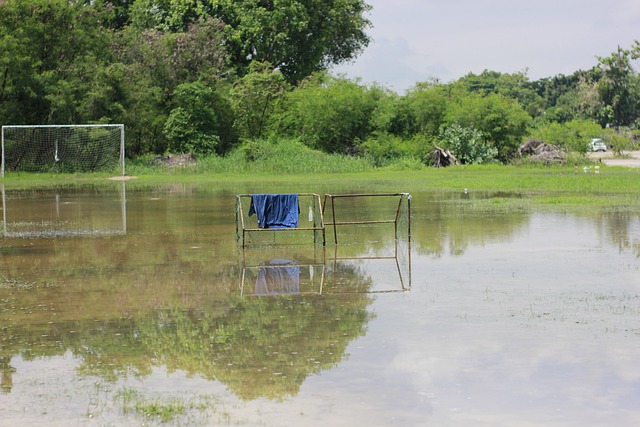 球比赛的魅 球比赛的魅