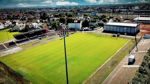 成特定任务 成特定任务